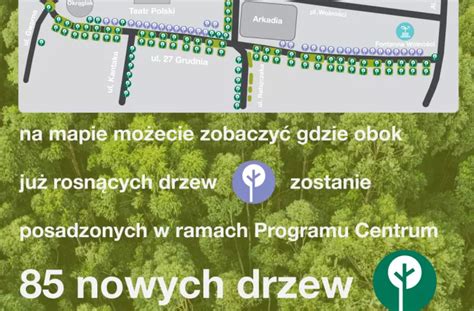 Protest Przeciwko Wycince Drzew W Poznaniu Aib