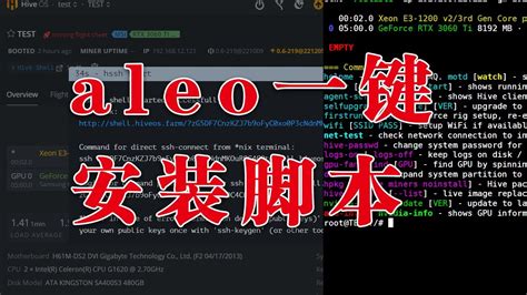 aleo一键安装脚本 小白的也可以挖矿 hiveos ubuntu乌班图 YouTube