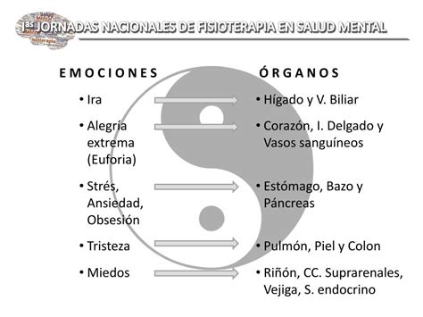 Ppt La Fisioterapia En Salud Mental Concepto Y Fundamento Cient Fico