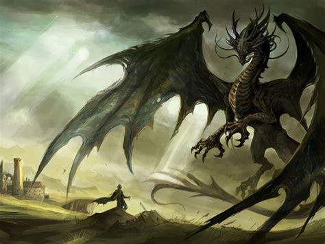 🔥 [48+] Black Dragon Wallpapers | WallpaperSafari