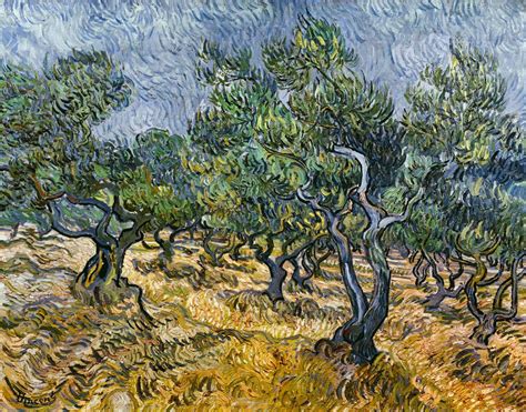 Oliveraie Peinture Huile Sur Toile De Vincent Van Gogh