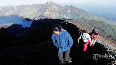 Pemulihan Ekosistem Dan Potensi Cuaca Ekstrem Jalur Pendakian Rinjani