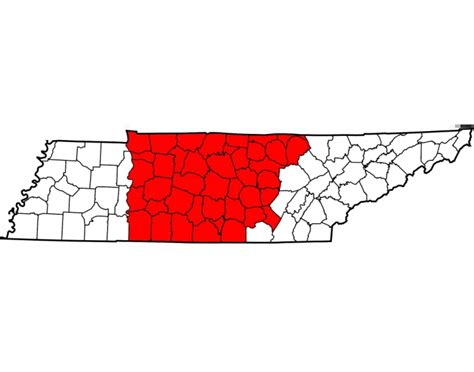 Middle Tennessee Review Quiz