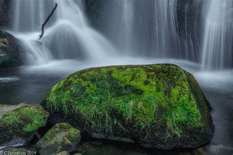 Fond d écran paysage cascade Roche la nature mousse Allemagne