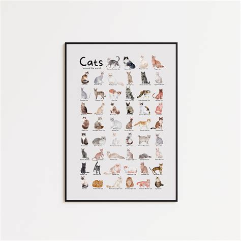 Downloadable Cat Breeds Printable Poster, 52 Cat Breeds Infographic ...