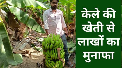 Banana Farming केले की खेती Profit मुनाफा Youtube