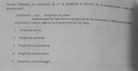 Panghalip Na Panaklaw Halimbawa - nangsapina