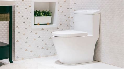 Choosing The Right Toilet Suite For Your Home Gold Coast Plumbing Company