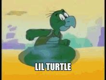 I Like Turtles Kid GIFs | Tenor