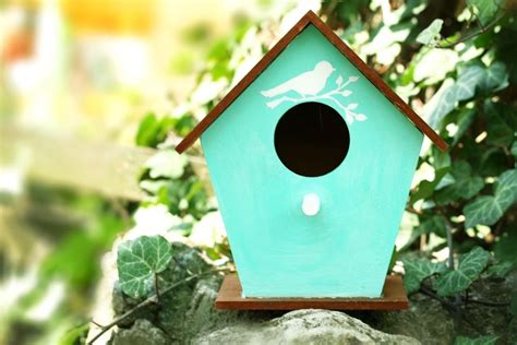 9 DIY Hummingbird House Plans You Can Build - Handy Keen