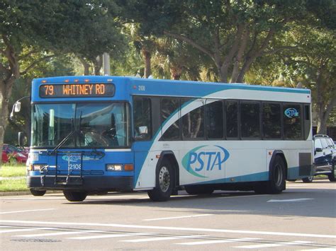 PSTA 79 2108 On My Holiday To Florida USA Last Year Matt S