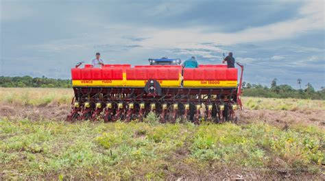 Produtores do P A Nova Amazônia iniciam plantio de Milho no Truaru