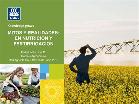 PDF 6 MITOS Y REALIDADES EN NUTRICION Y MITOS Y REALIDADES EN