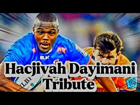 Hacjivah Dayimani Tribute Stormers Flanker 8th Man Rugby Player