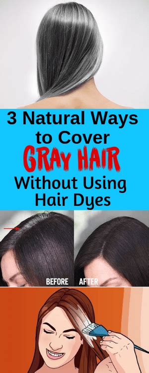 3 Natural Ways To Cover Gray Hair Without Using Hair Dyes Healthinspo Covering Gray Hair