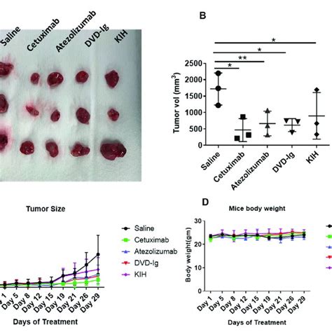 Anti Egfrpd L1 Bsabs Exhibited Potent Antitumor Activity In Mda Mb 231