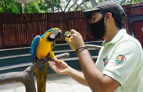 Zoológico De Barranquilla Abre Puertas Desde El Miércoles