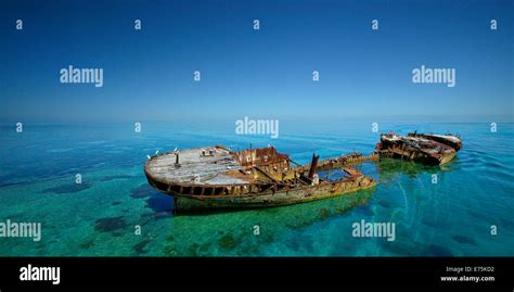 Hmas Protector Shipwreck Great Barrier Reef Qld Australia Stock Photo