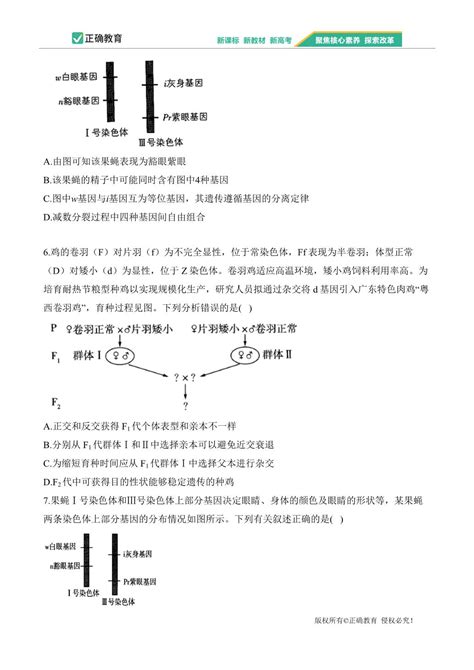 （2）基因和染色体的关系——2023 2024学年高一生物学人教版（2019）必修二单元检测卷（a卷） 正确云资源