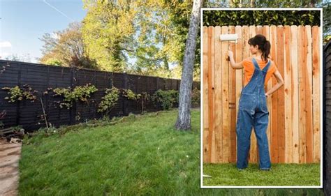 Gardening Expert Shares ‘best Colours To Paint Garden Fences For Space