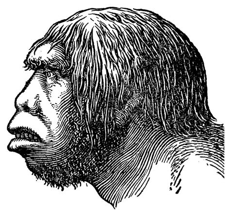 Neanderthal Eyes Stock Illustrations – 177 Neanderthal Eyes Stock ...