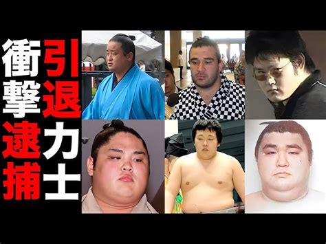 【驚愕】引退した力士のその後ヤバすぎる逮捕8選【大相撲】 芸能界の暴露団｜youtubeランキング