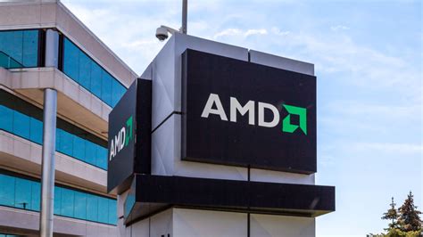 jitters expect  steady climb  amd   ai chip race
