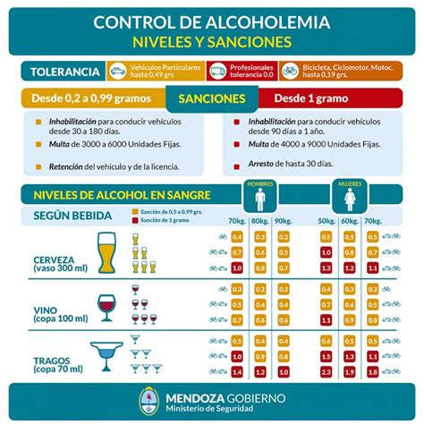 Estos Son Los Valores De Alcohol Permitidos Para Manejar Un Vehículo