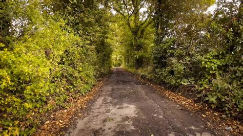 Autumnal Roadway A Scenic Drive Through the Forest 30247180 Stock Video