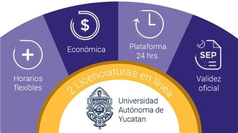 Licenciaturas En Línea Del Uady