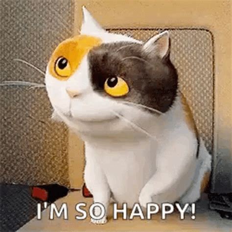happy cat gif dancing