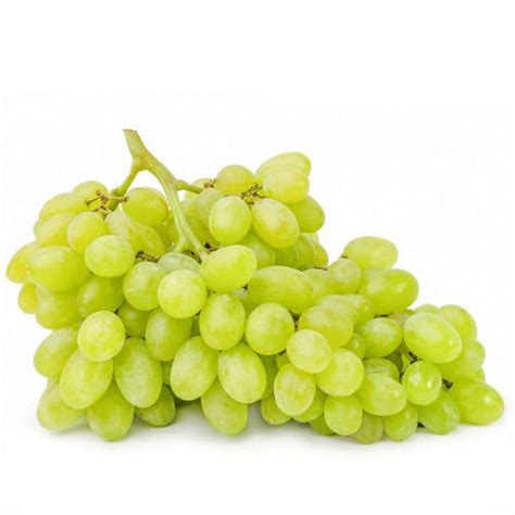 Farzana | Buy Grapes White Seedless Online at the best price