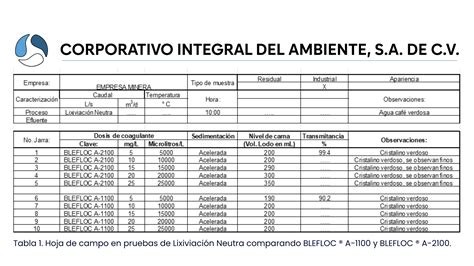 Optimización de Floculantes en la Industria Minera Aplicaciones y