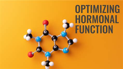 hormones understanding  role  optimising  function