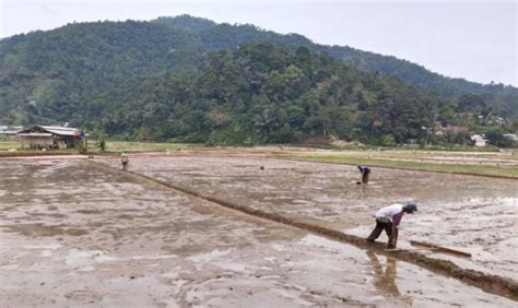 Banjir Bandang Di Kabupaten Bogor Rugikan Sektor Pertanian