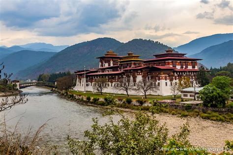 The Majestic Winter Capital Of Bhutan Punakha Dzong Thrilling Travel