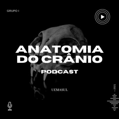 Anatomia Descomplicada A Podcast On Spotify For Podcasters