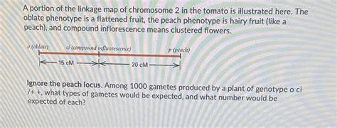 Solved A Portion Of The Linkage Map Of Chromosome 2 In The Tomato Is