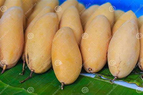 Organic Nam Dok Mai Mangoes For Sale At The Fruit Market The Na Stock