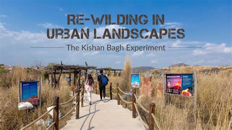 Kishan Bagh Jaipur Story Of Kishan Bagh By Park Director Habitat