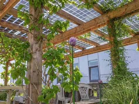 A Solar Intensive Green Roof Rooftop Garden Vienna Austria