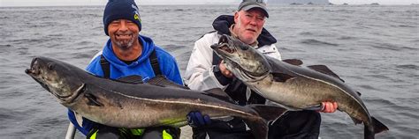 Coalfish Fishing | Saltwater Sport | Norway & Iceland | Sportquest Holidays