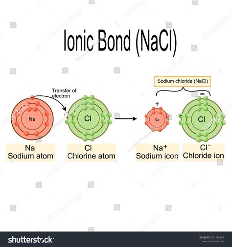 Ionic Bonding: Over 264 Royalty-Free Licensable Stock Vectors & Vector ...