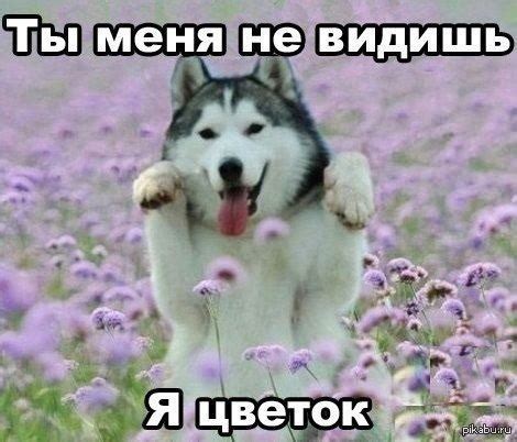 милые милости | Пикабу