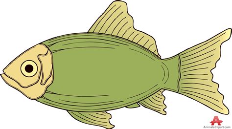 Free Big Fish Cliparts, Download Free Big Fish Cliparts png images ...