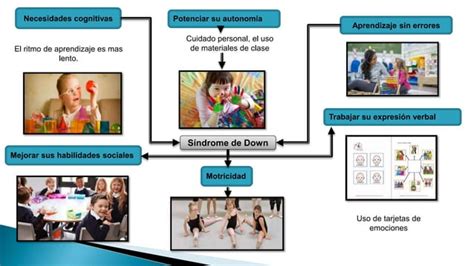 Necesidades Educativas Especiales Asociadas A La Discapacidad PPT