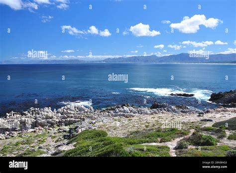 View In Summer Of Beautiful Walker Bay From De Kelders Village Beach Path One Of The Places In