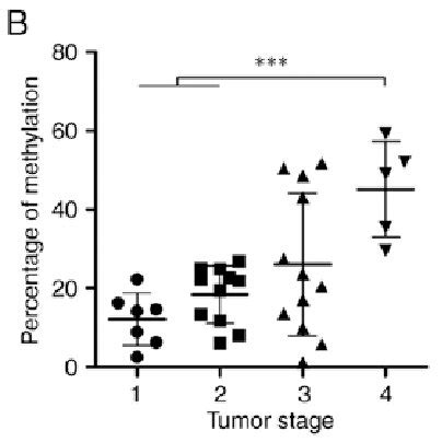 Identification Of DNA Methylation Leads To The Downregulation Of