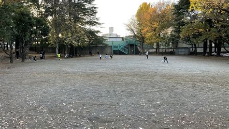 日本代表の切り札！三笘薫が「サッカーの原点」と語る川崎市宮前区の公園へ行ってみた ｜qoly サッカーニュース