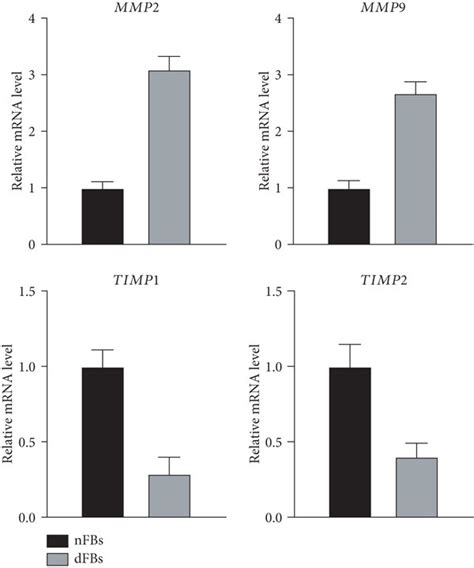 Diabetic Wounds Display Elevated MMP Expression And Reduced TIMP